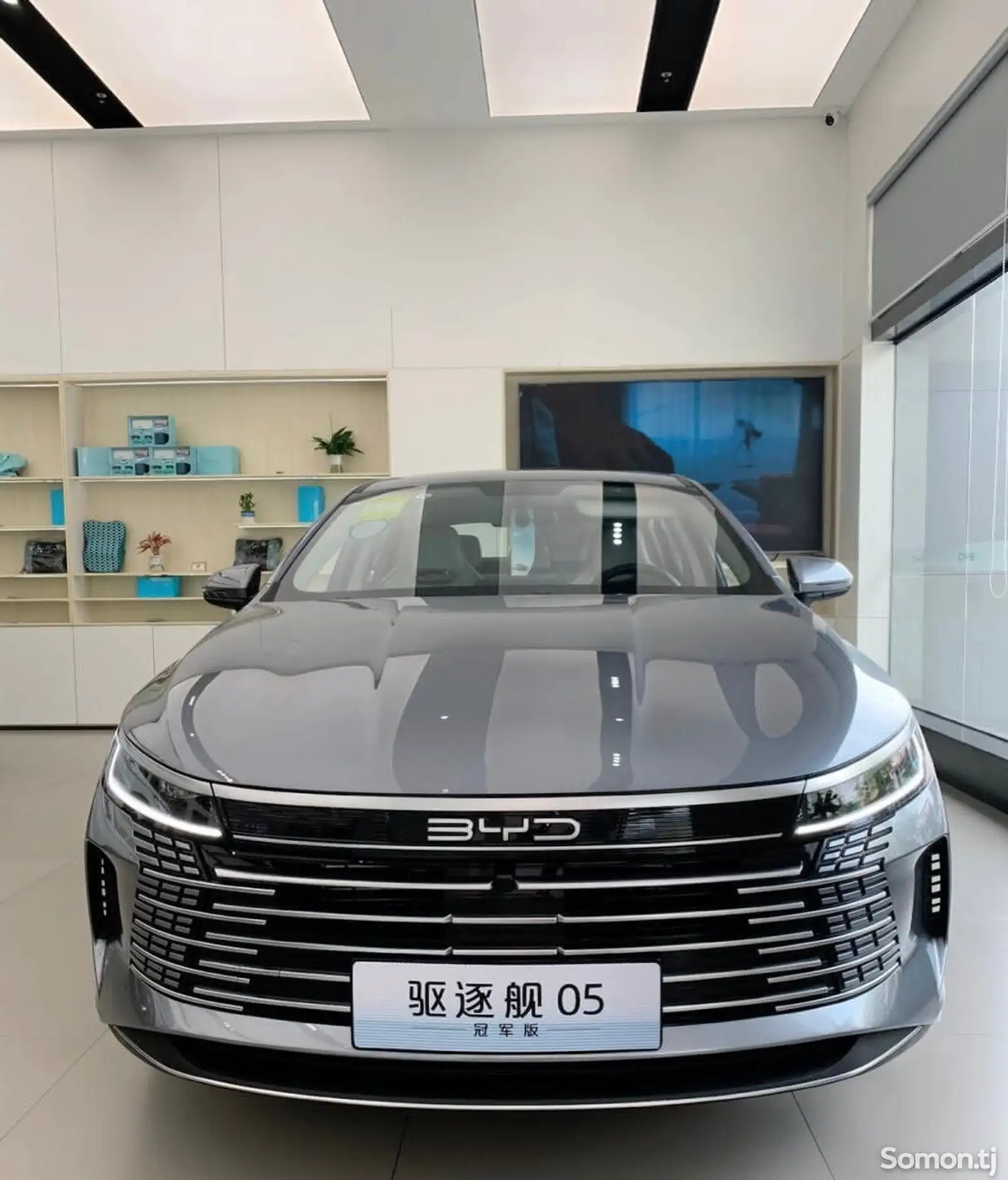 BYD Destroyer, 2024-1