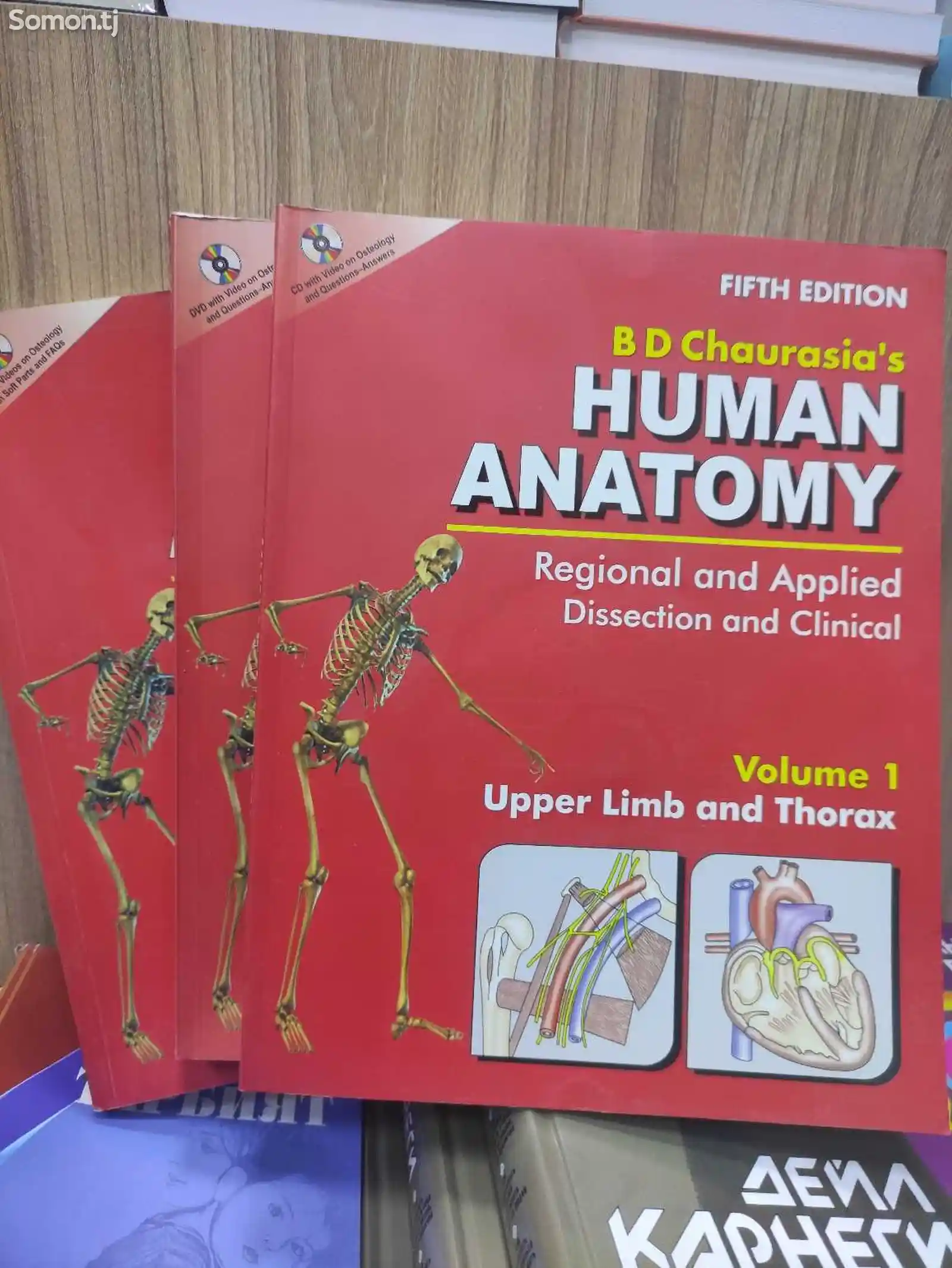 Книга Human anatomy-1