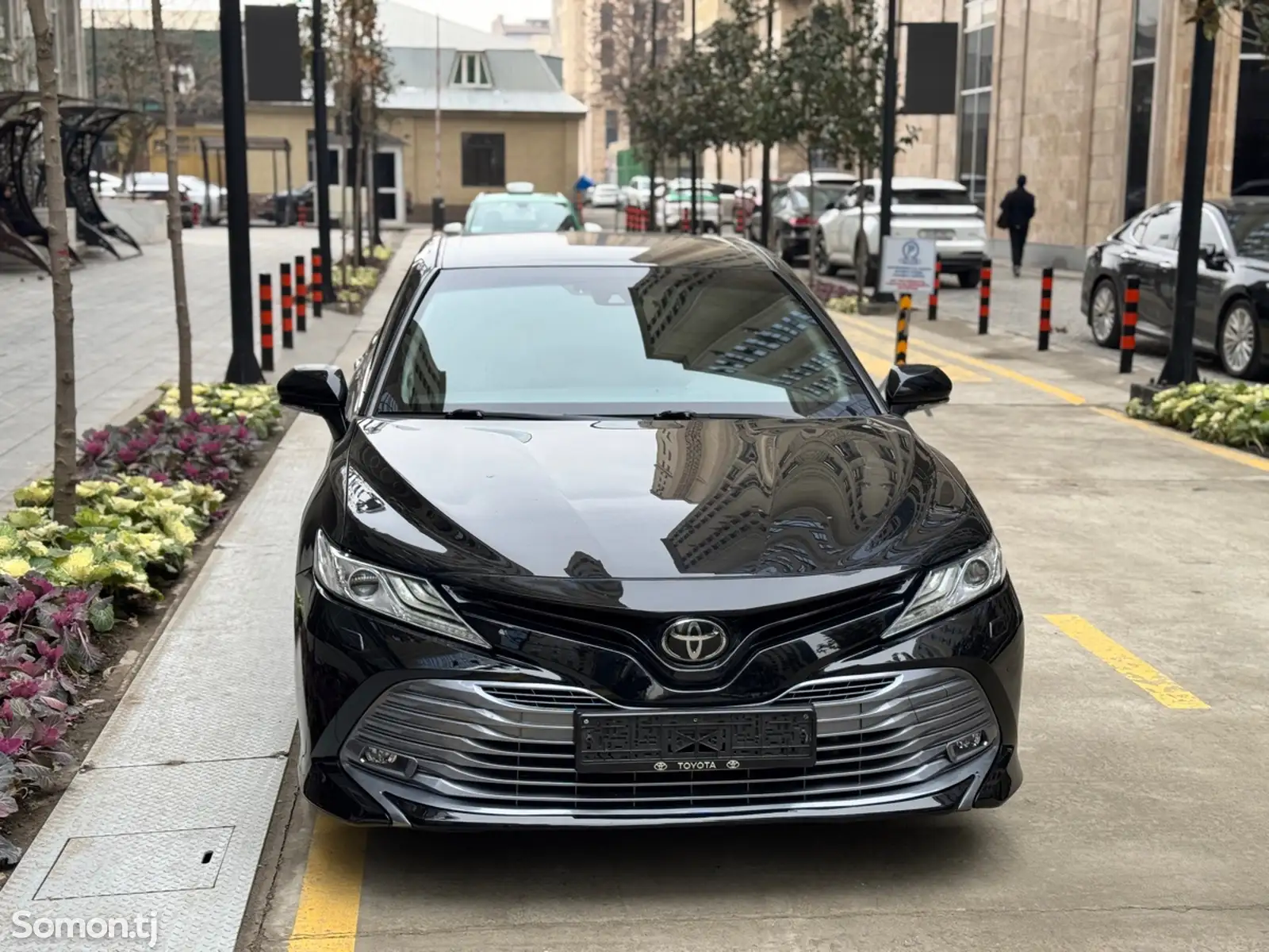 Toyota Camry, 2019-1