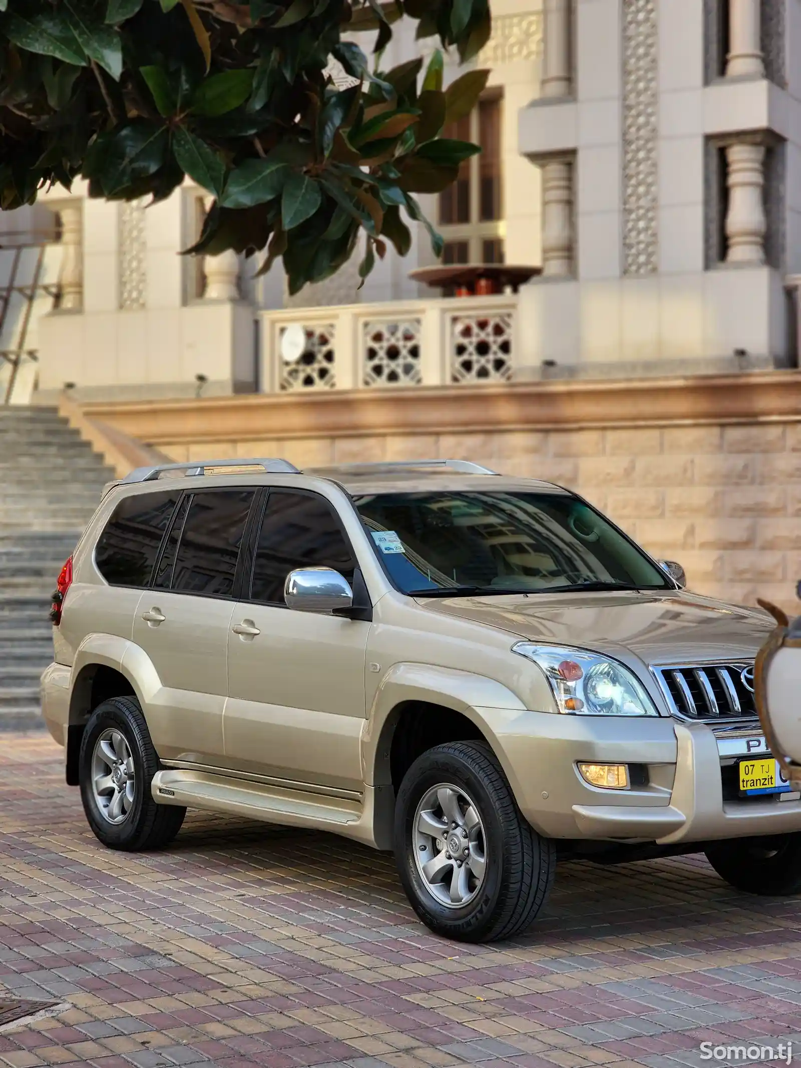 Toyota Land Cruiser Prado, 2009-5