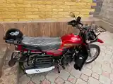 Мотоцикл GLX-Suzuki 200cc куба-12