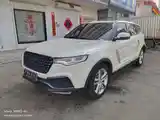 ZOTYE AVTO T700, 2017-2