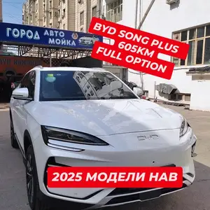 BYD Song Plus Flagship, 2024