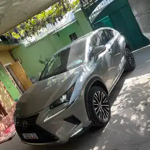 Lexus NX series, 2020