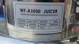 Соковыжималка Железная WF-3000-5