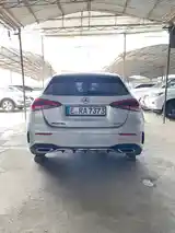 Mercedes-Benz A class, 2019-6