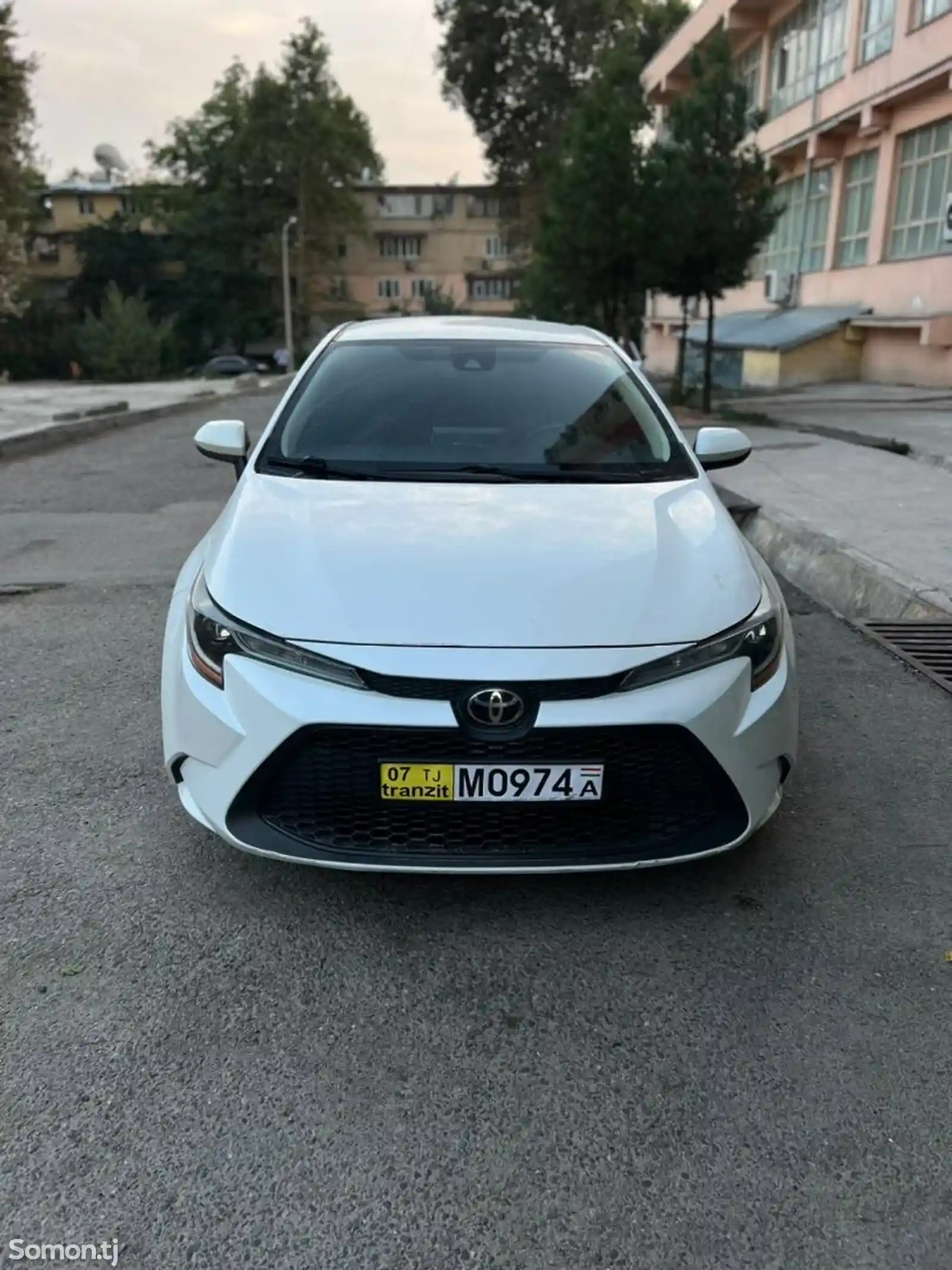 Toyota Corolla, 2019-1