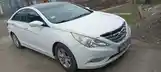 Hyundai Sonata, 2010-3