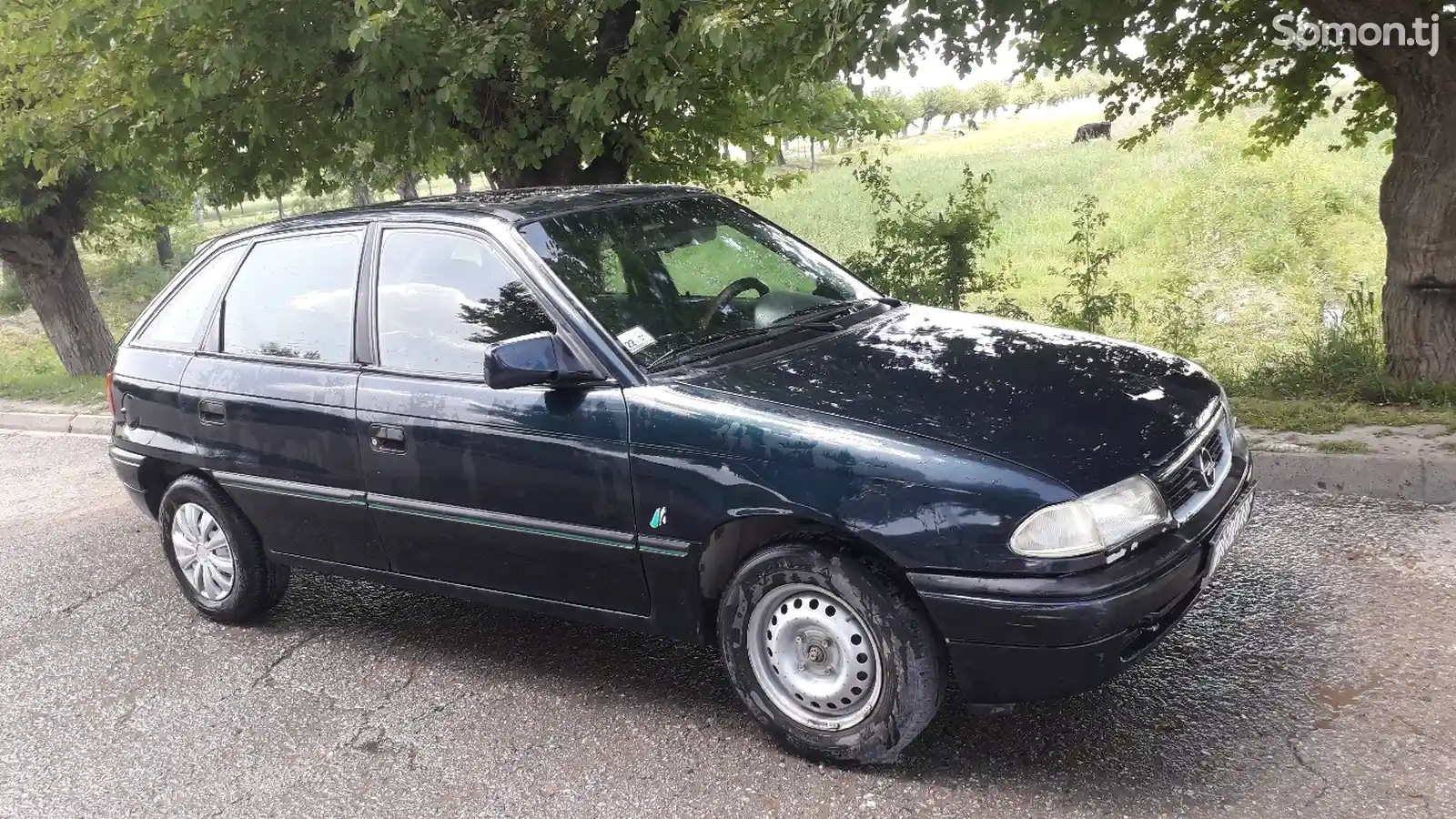 Opel Astra F, 1994-4