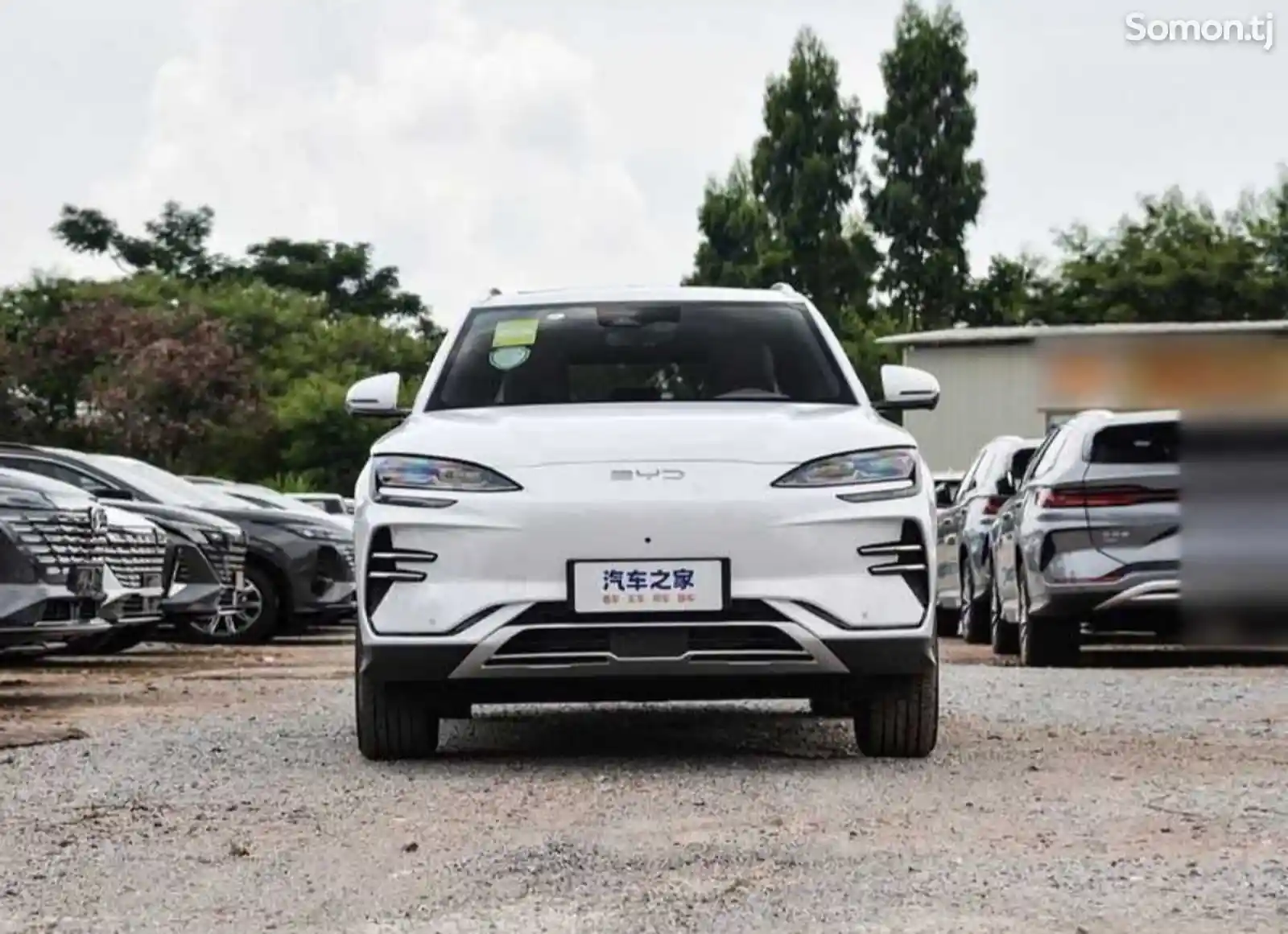 BYD Song Plus Flagship, 2024-2