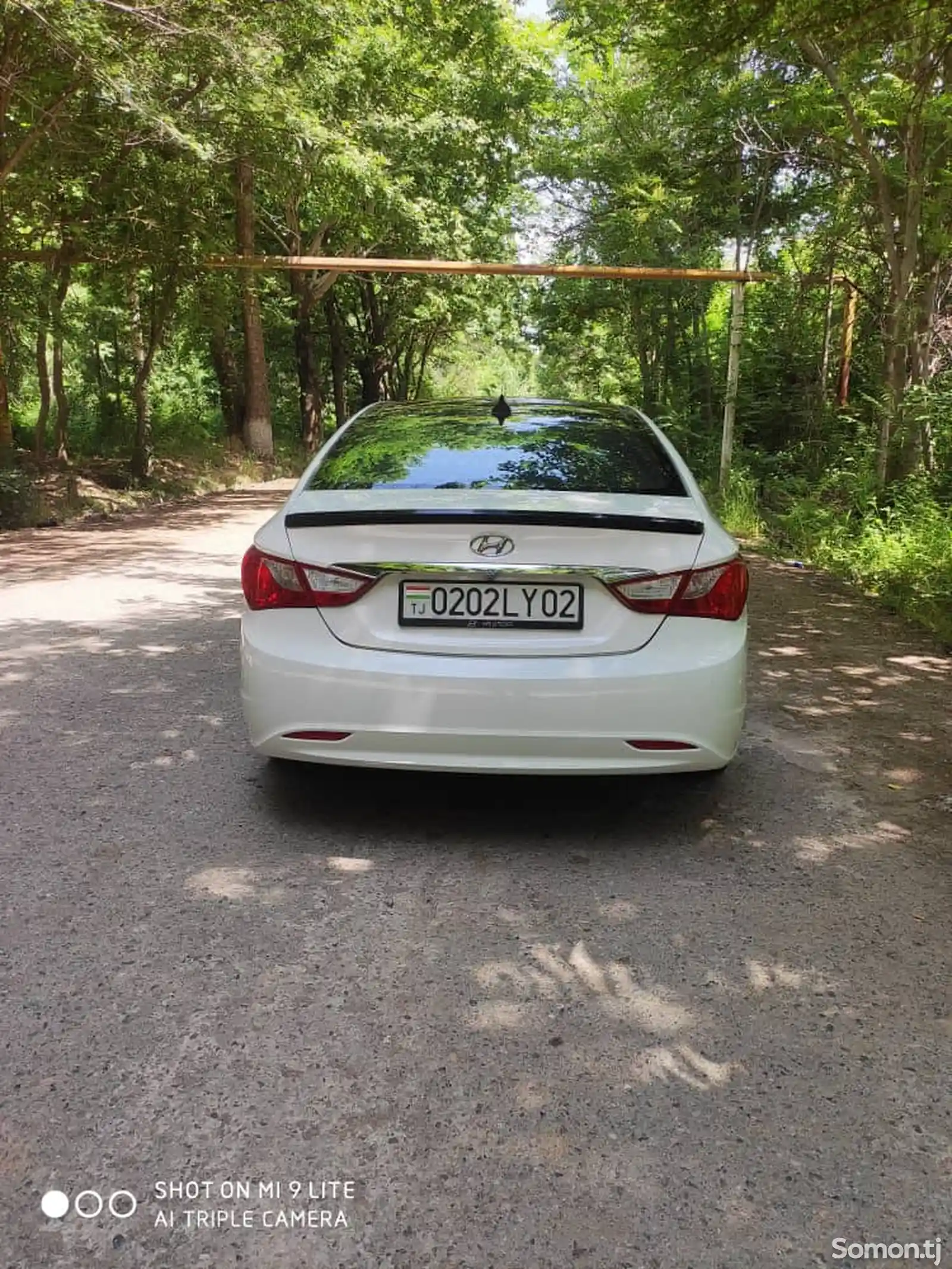 Hyundai Sonata, 2010-8