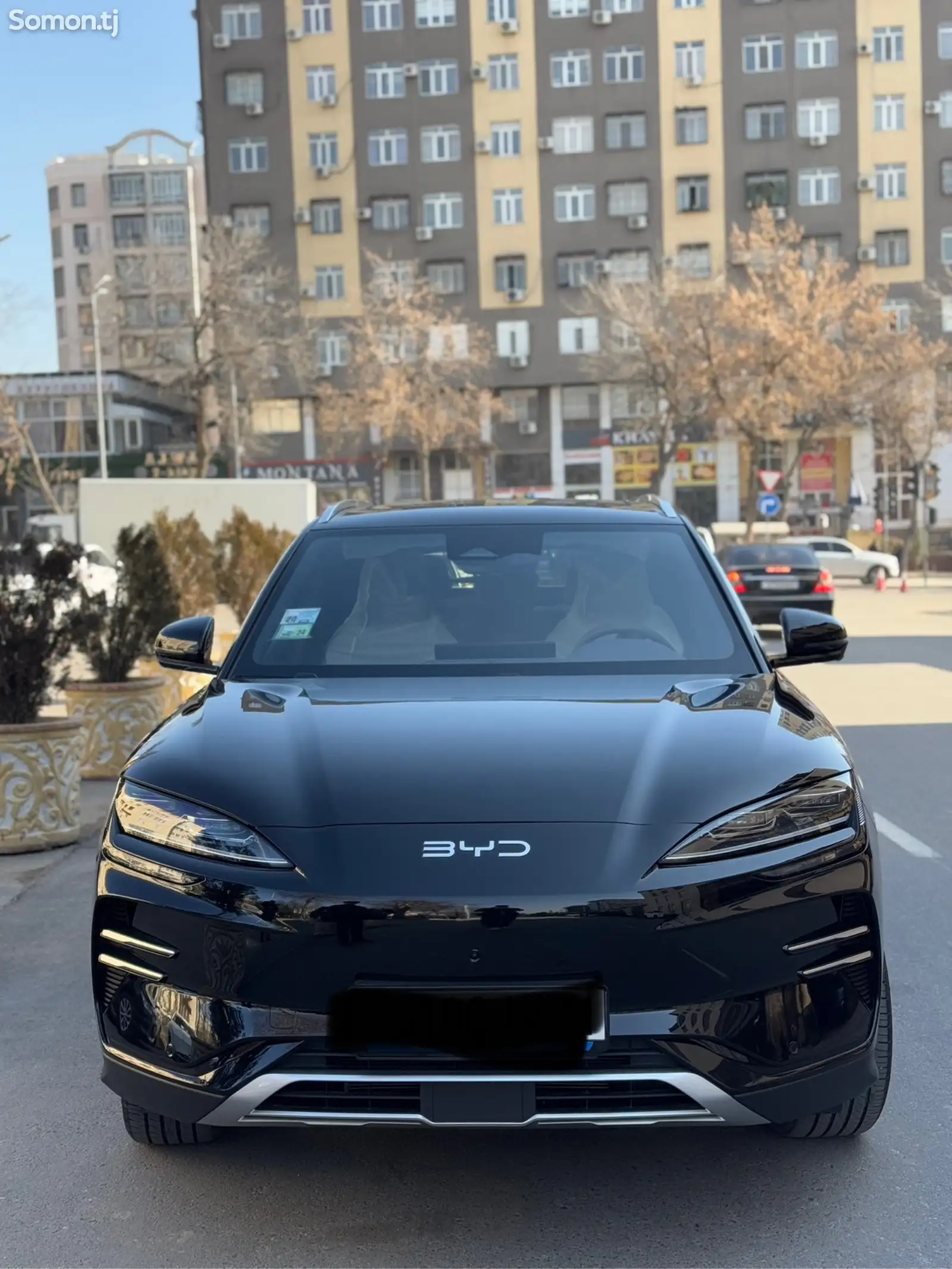 BYD Song Plus Flagship, 2024-1