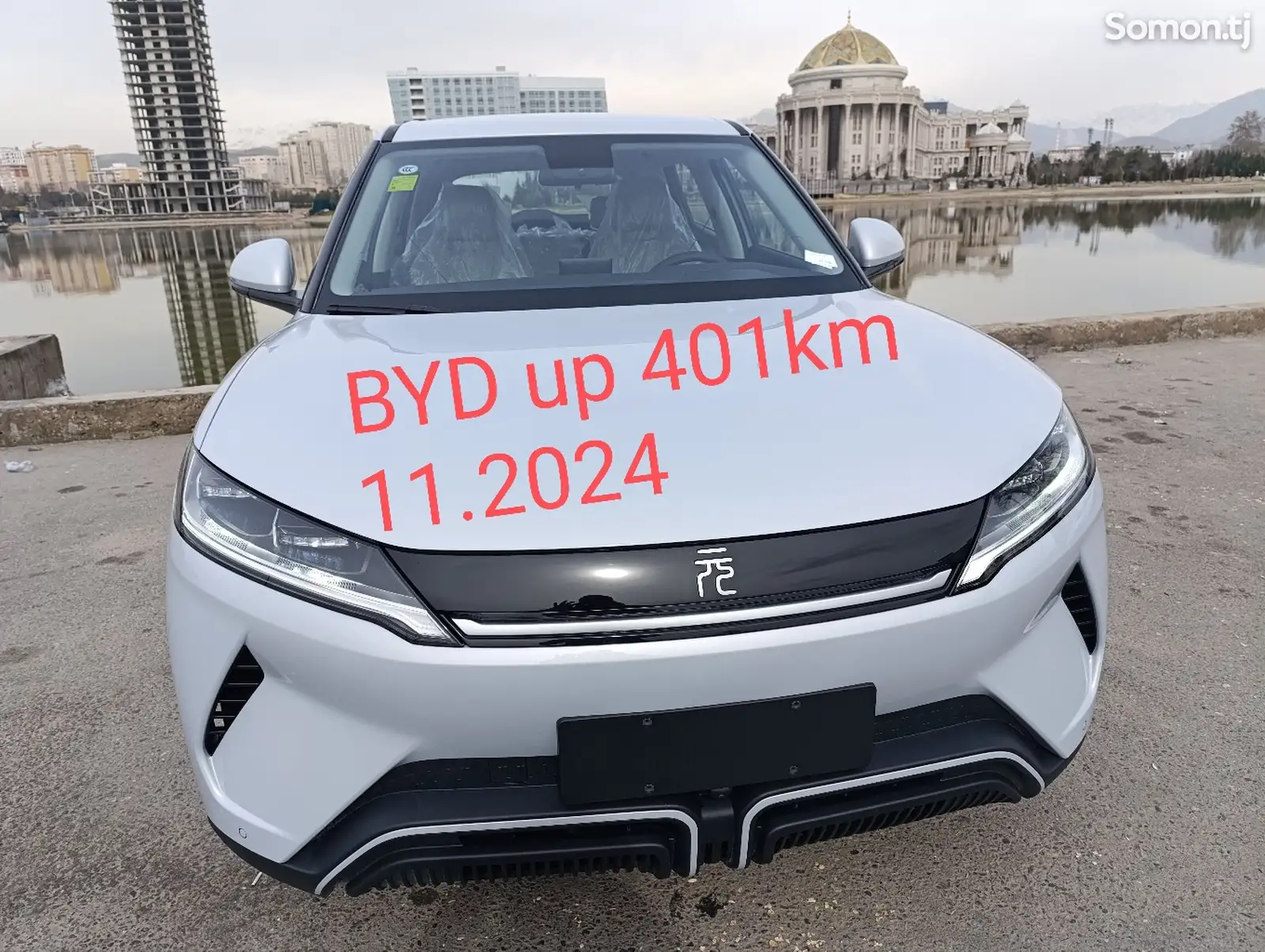 BYD Yuan Up, 2024-1