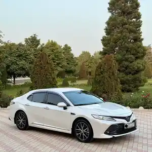 Toyota Camry, 2019