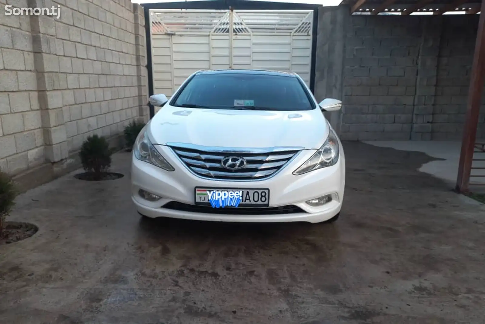 Hyundai Sonata, 2010-1