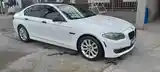 BMW 5 series, 2010-6