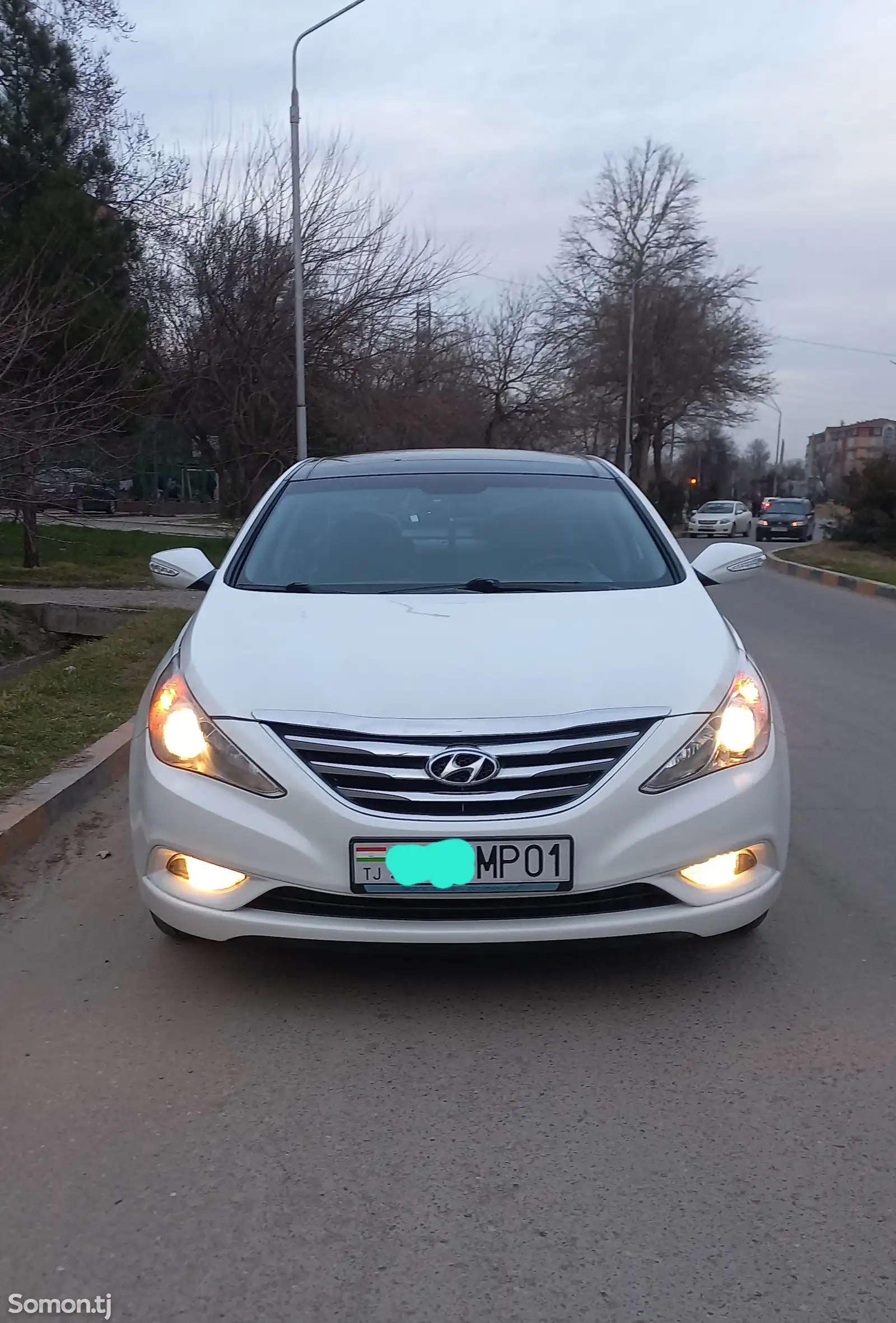 Hyundai Sonata, 2011-1