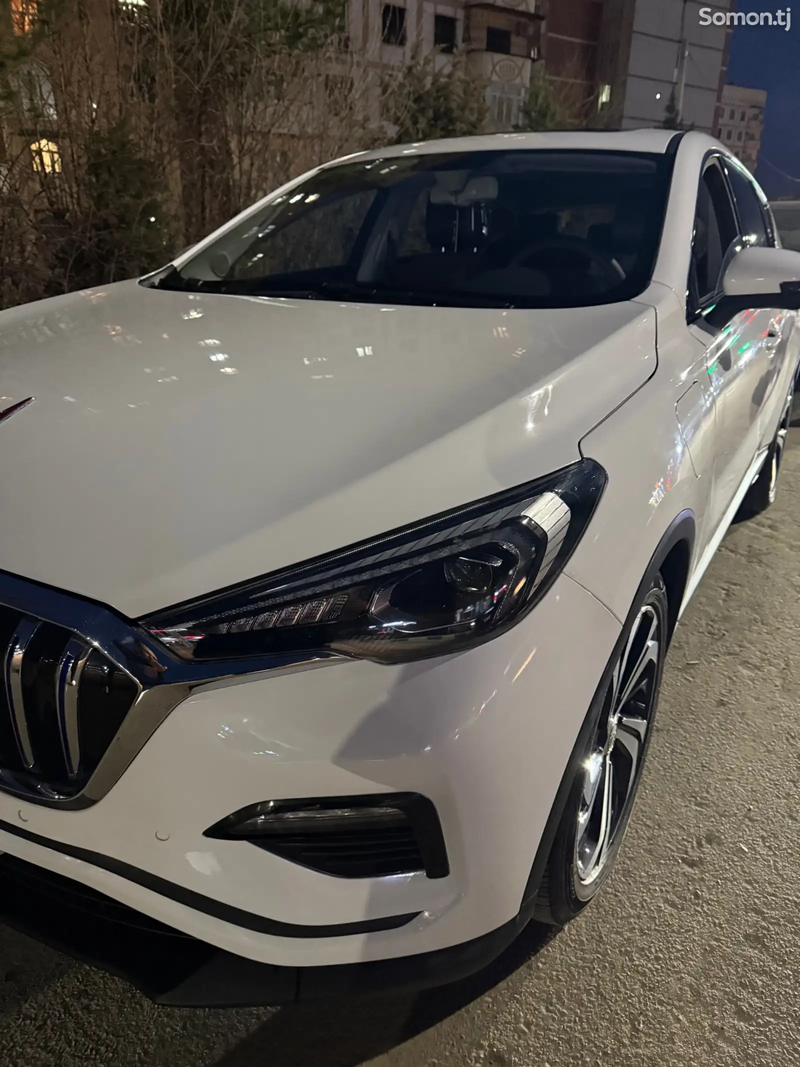 Hongqi E-HS3, 2019-1