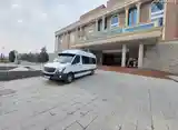 Пассажирские перевозки на Mercedes Benz Sprinter-2