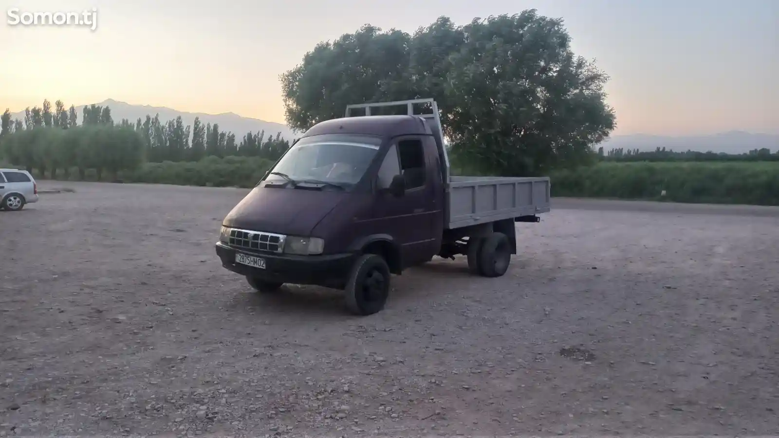 Бортовой автомобиль ГАЗ 24, 2001-8