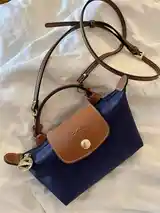 Сумочки Longchamp-2