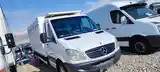 Бортовой Mercedes-Benz Sprinter, 2006-2