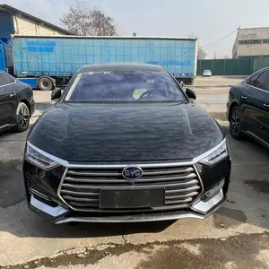 BYD Другие модели, 2021