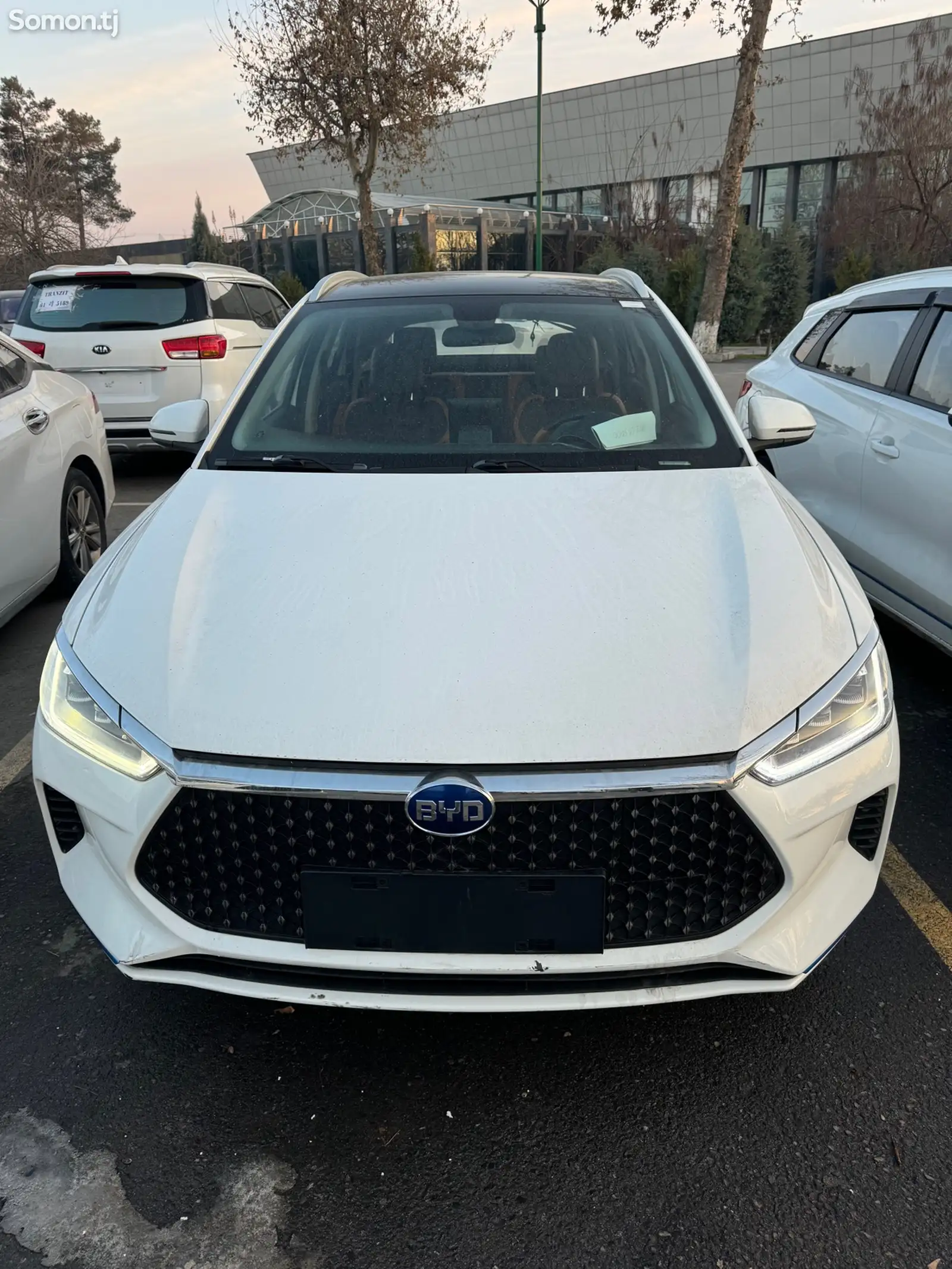 BYD E2, 2020-1