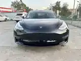 Tesla Model 3, 2019-2