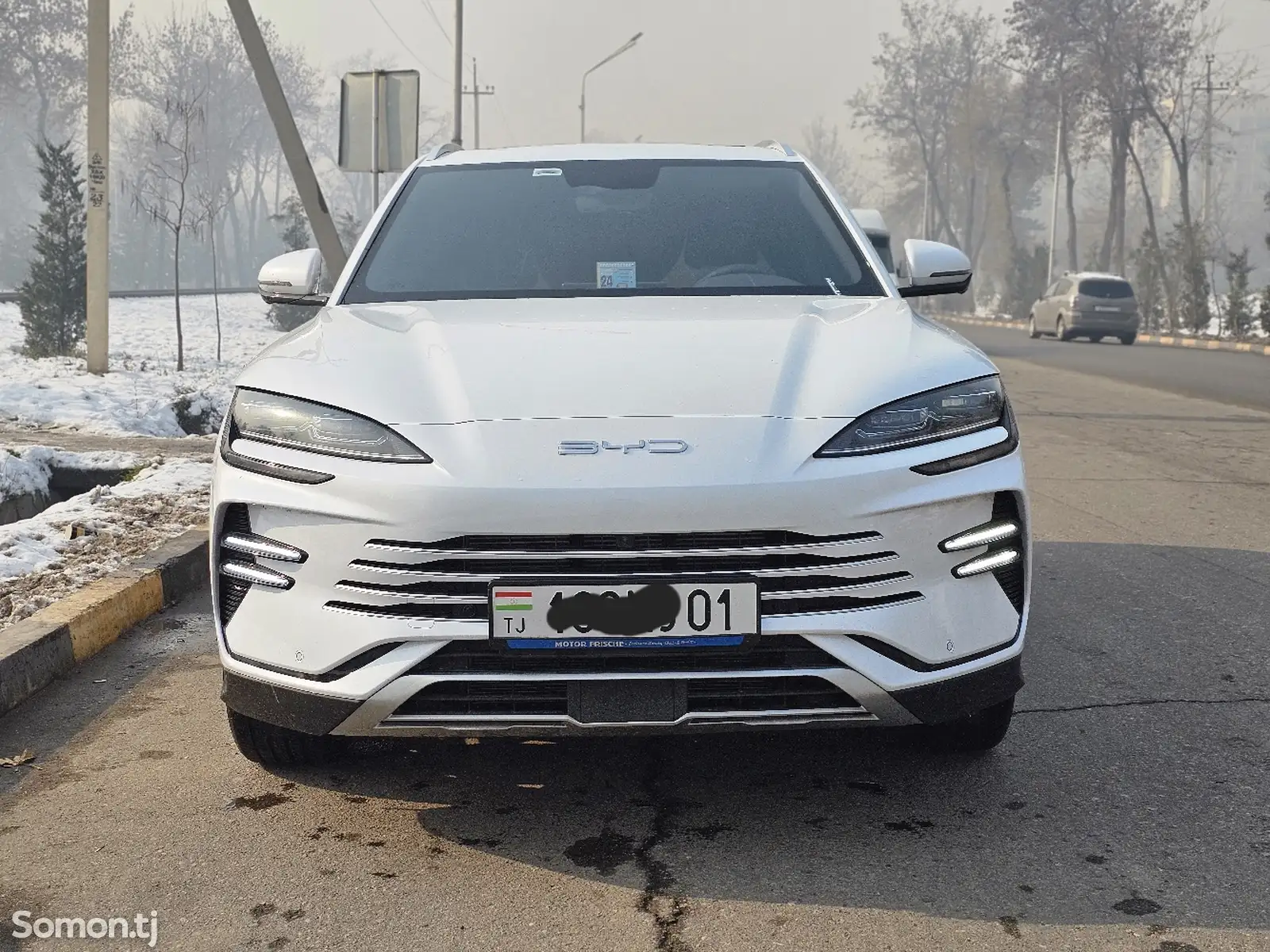 BYD Song Plus Flagship, 2024-1