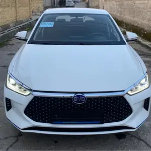 BYD E2, 2019