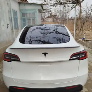 Tesla Model Y, 2021