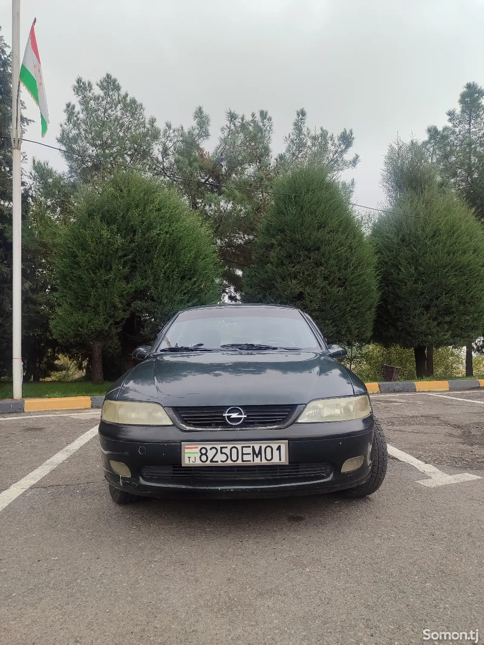 Opel Vectra B, 1996-3