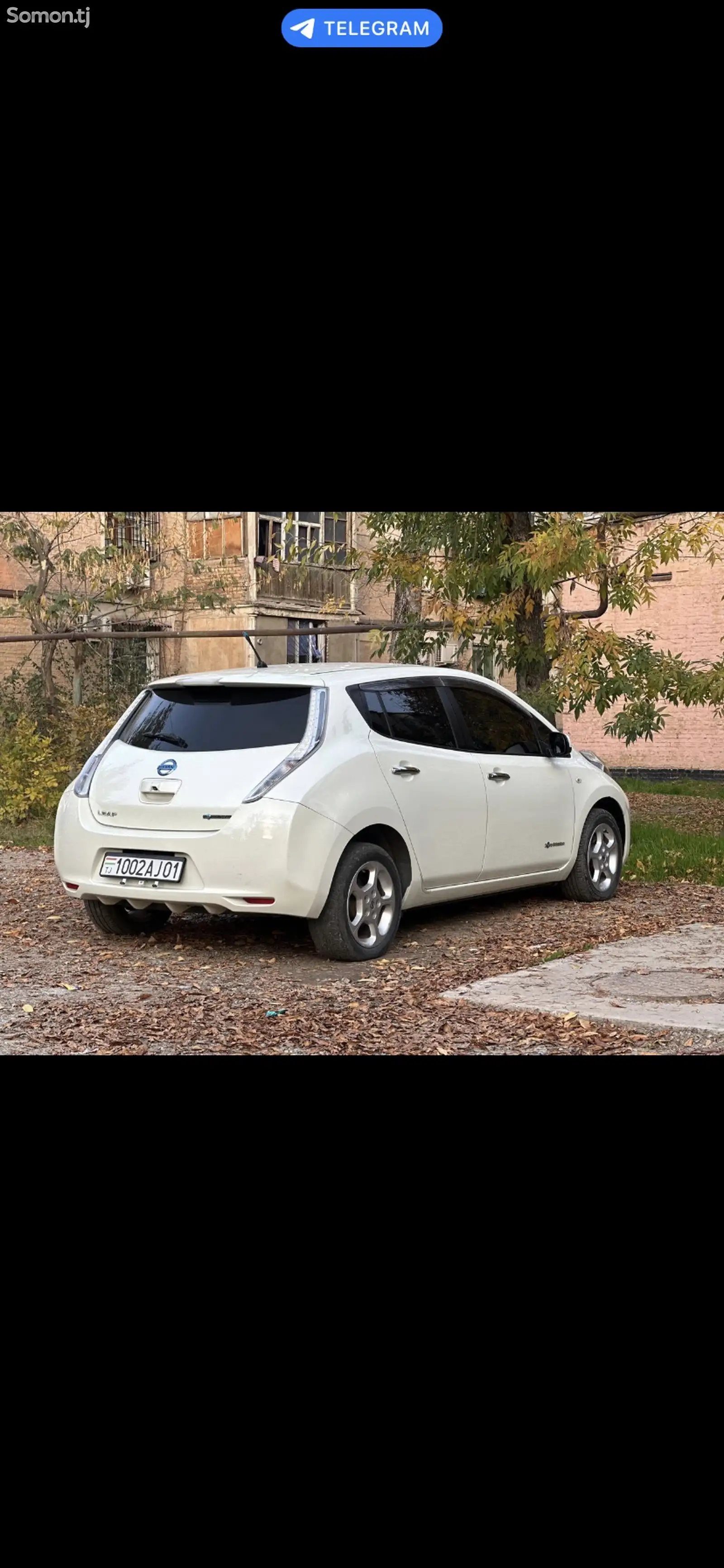 Nissan 100 NX, 2011-1