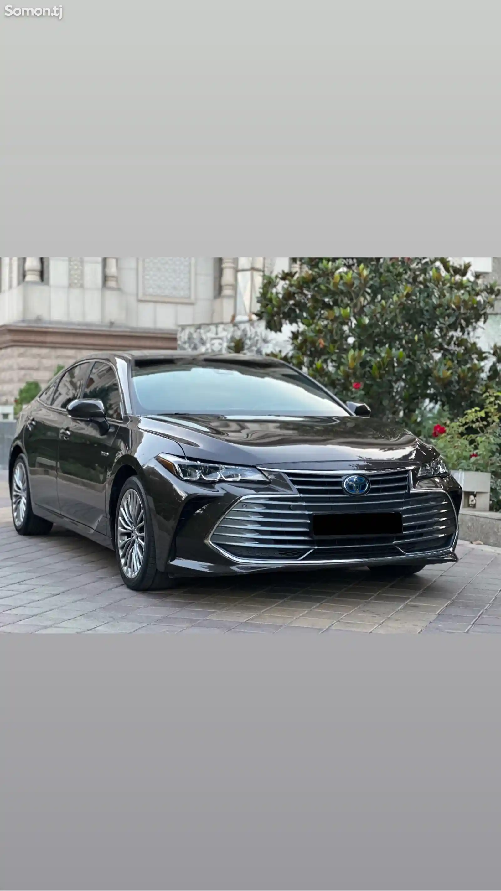 Toyota Avalon, 2020-4