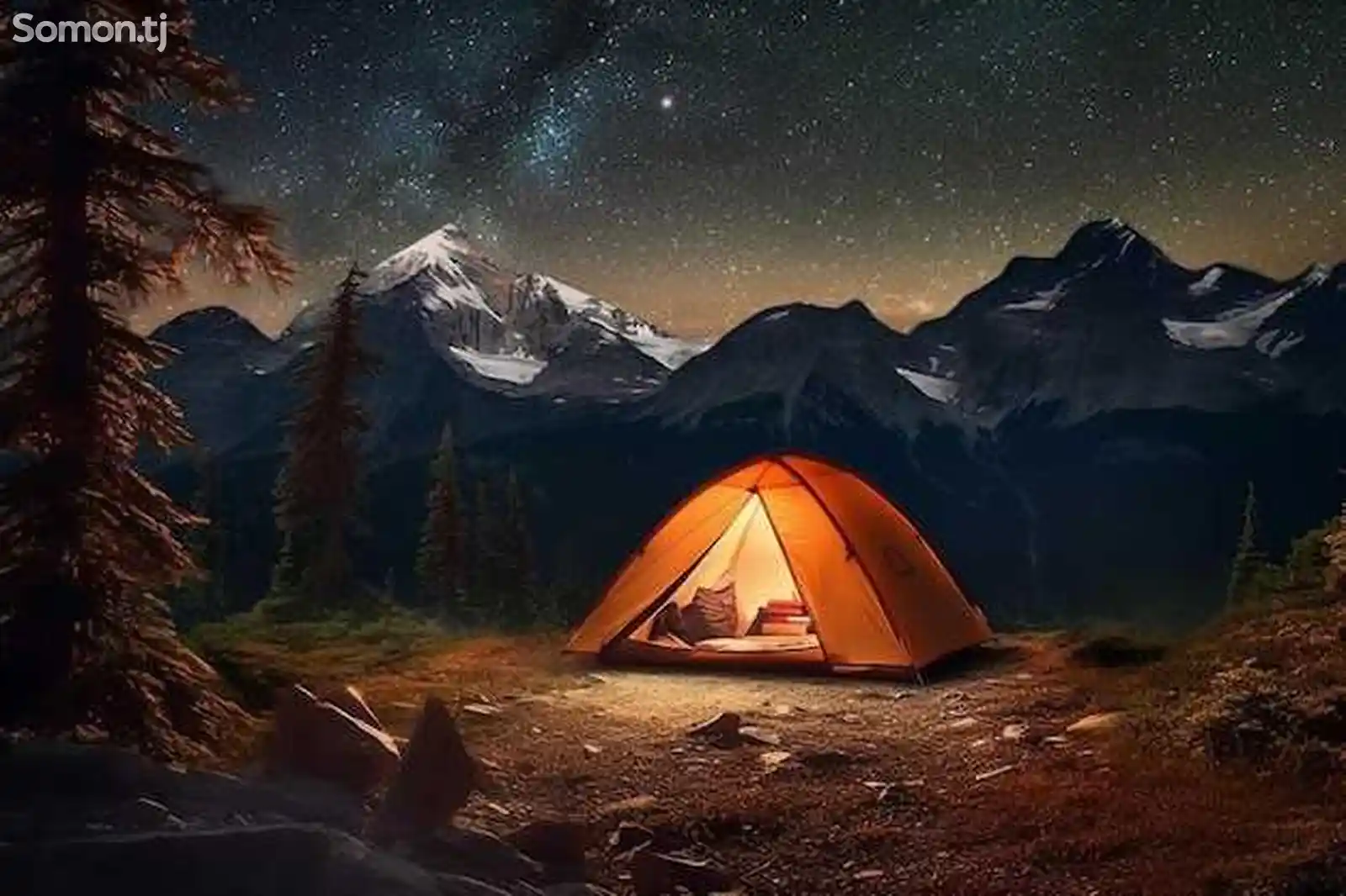 Палатка Туристическая в аренду-5