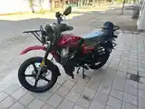 Мотоцикл GLX Suzuki 200cc-5