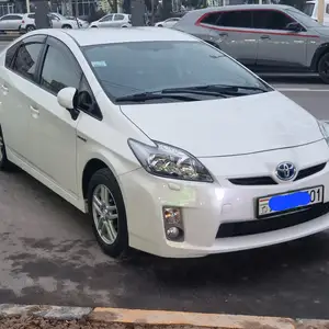 Toyota Prius, 2010