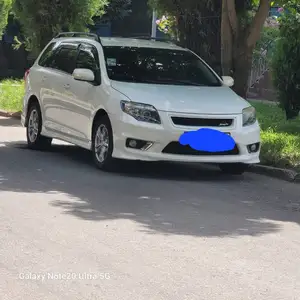 Toyota Fielder, 2010