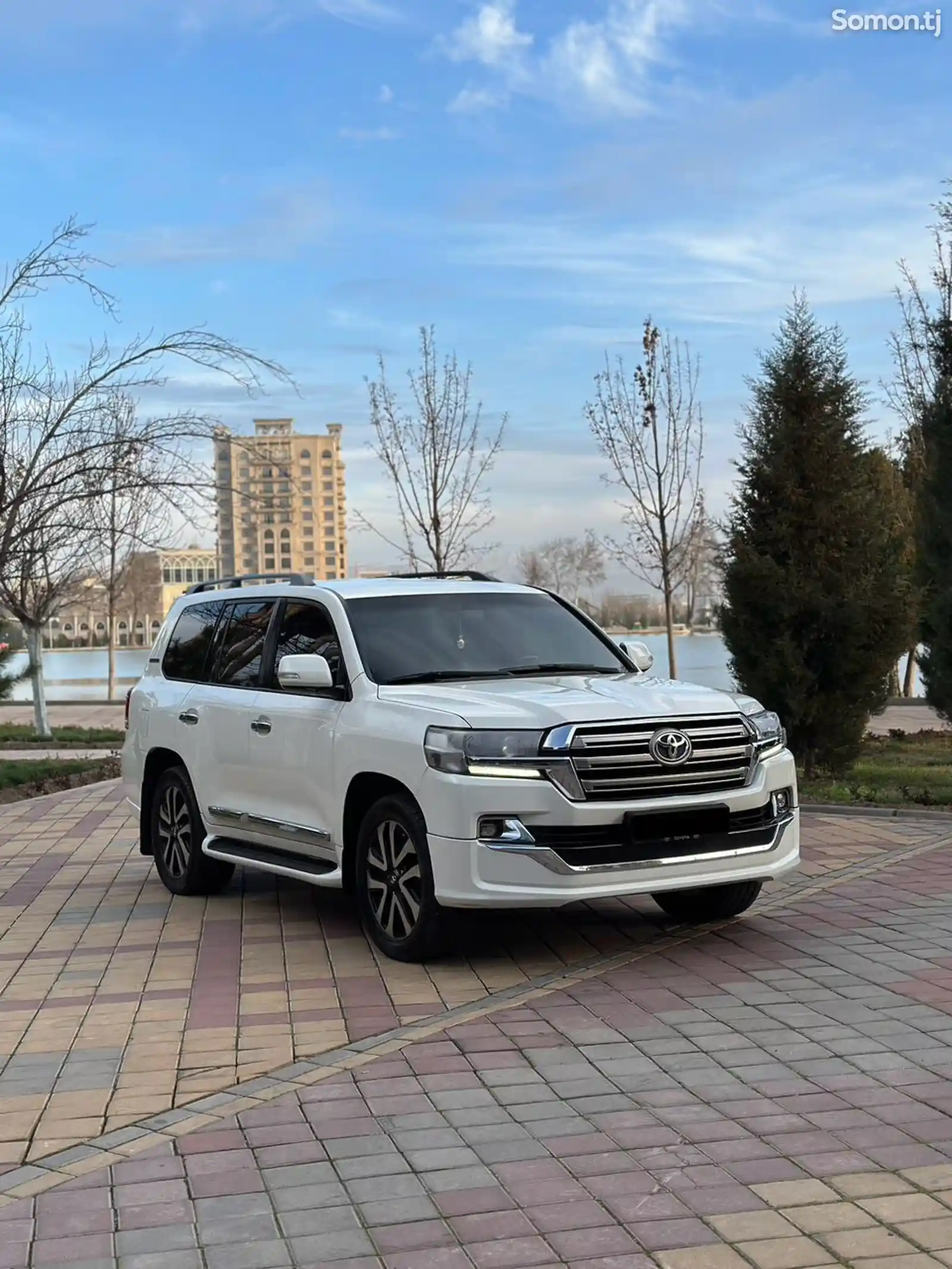 Toyota Land Cruiser, 2008-3