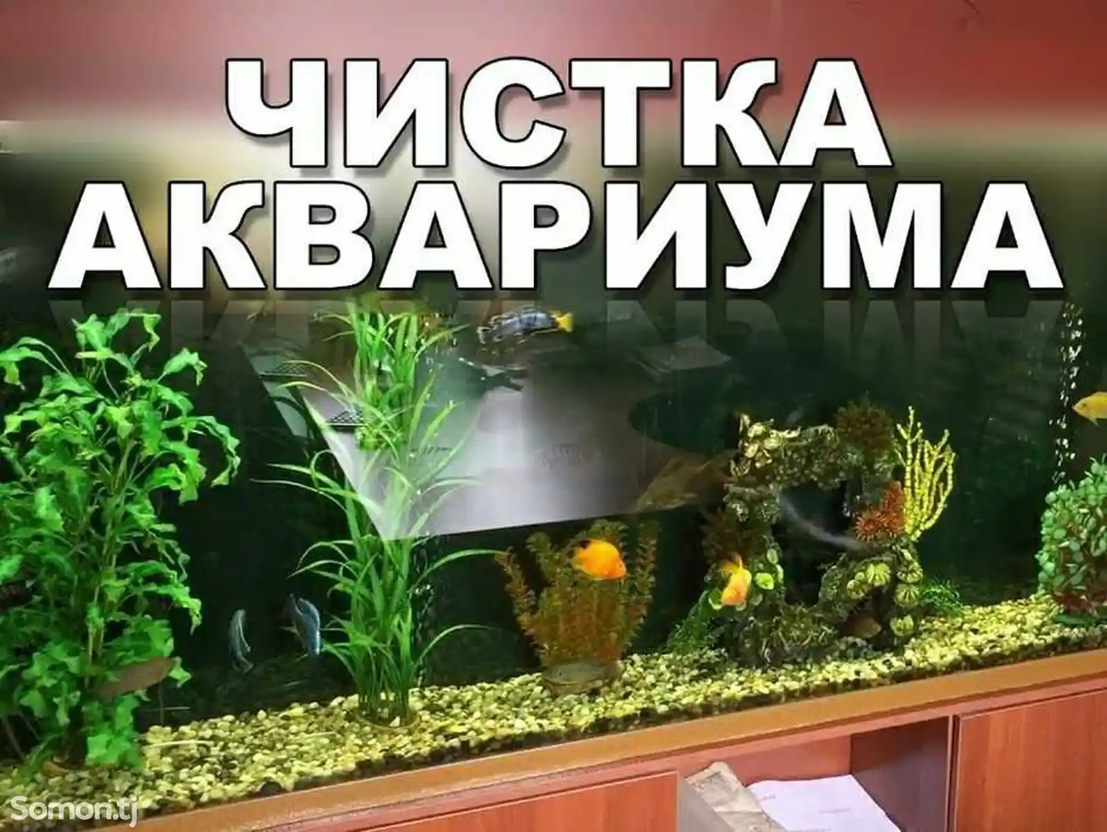 Обслуживание аквариумов-1