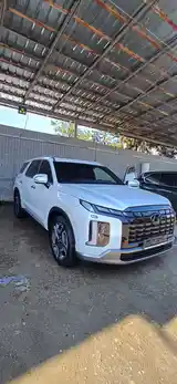 Hyundai Palisade, 2024-3