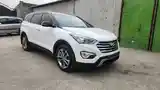 Hyundai Santa Fe, 2014-12