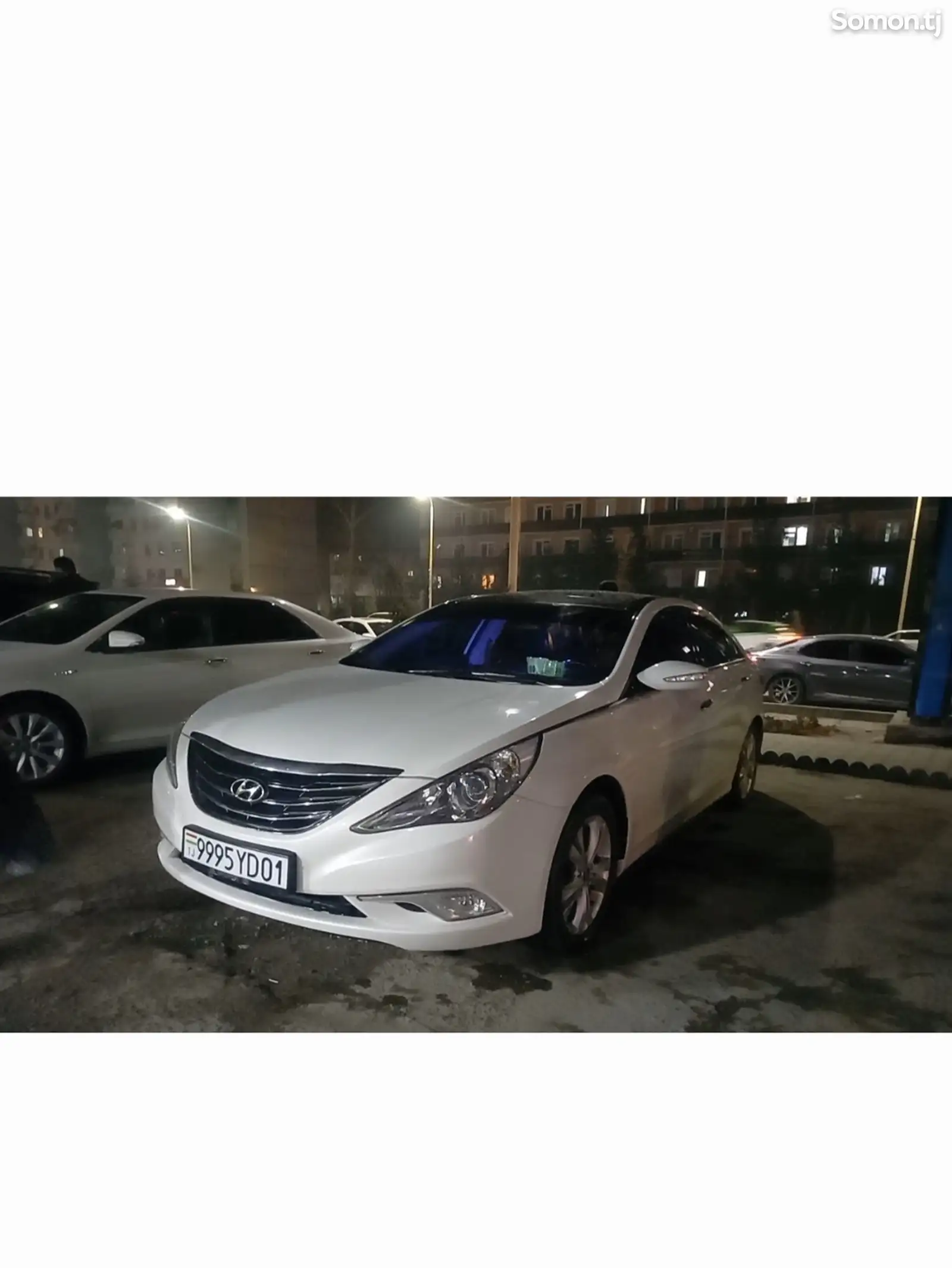 Hyundai Sonata, 2010-1