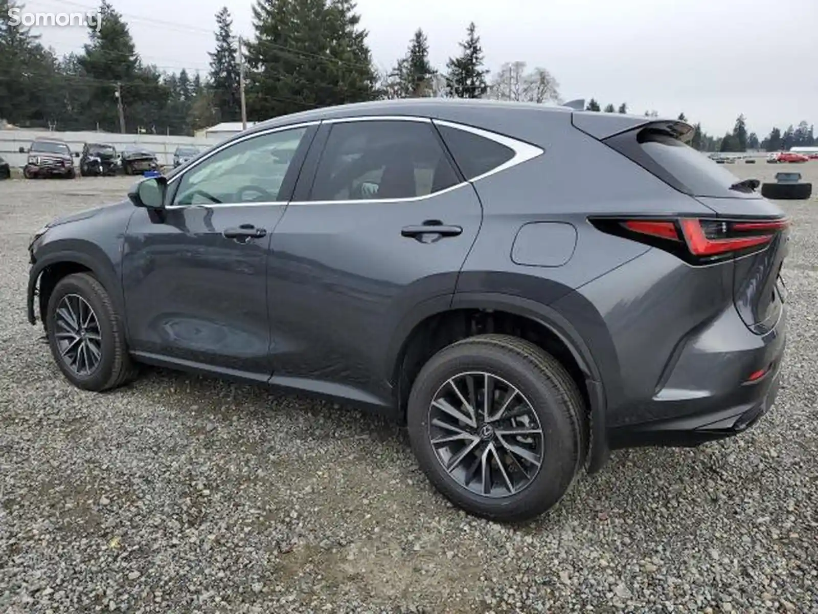 Lexus NX series, 2024-4