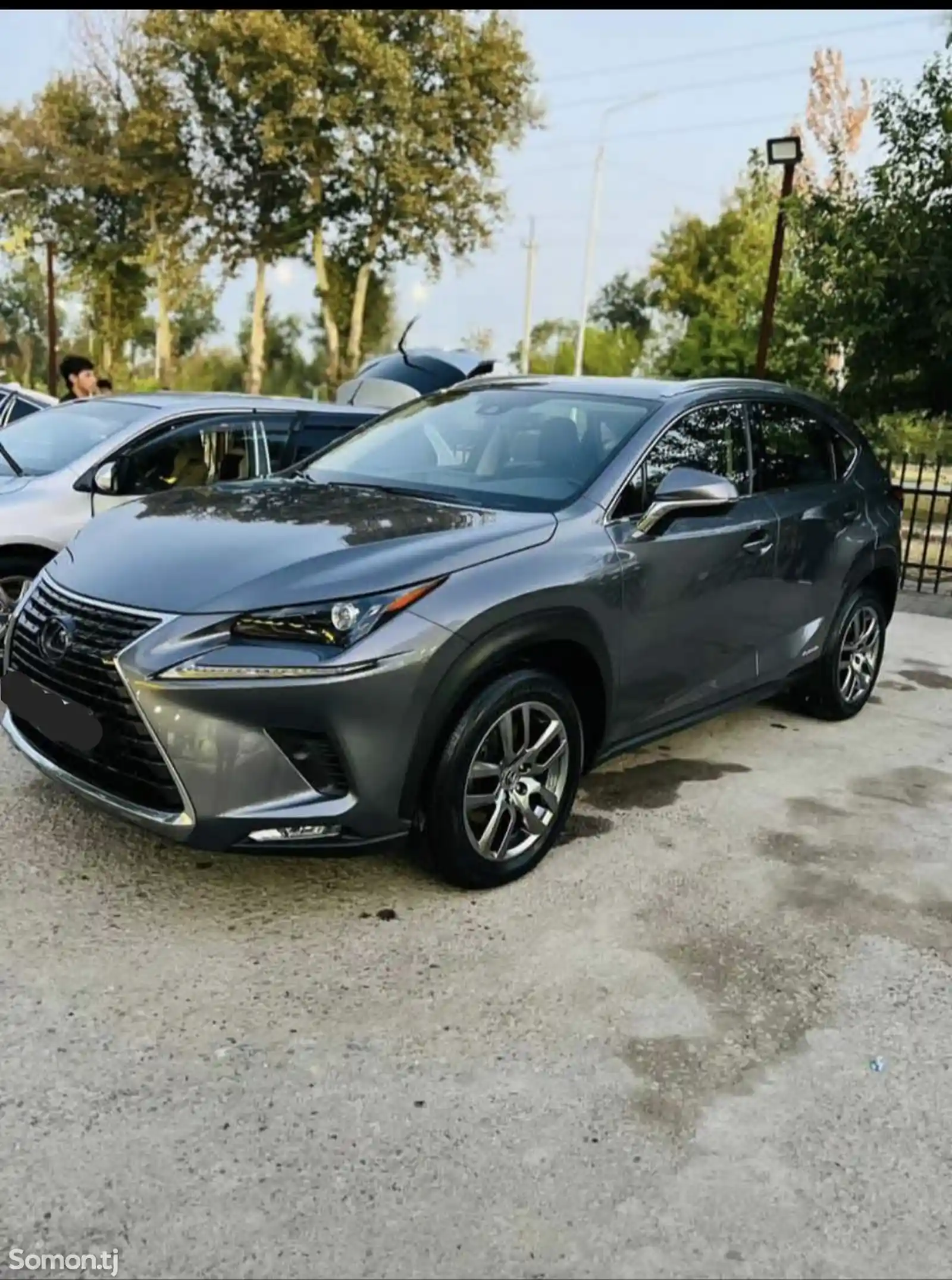 Lexus NX series, 2022-1