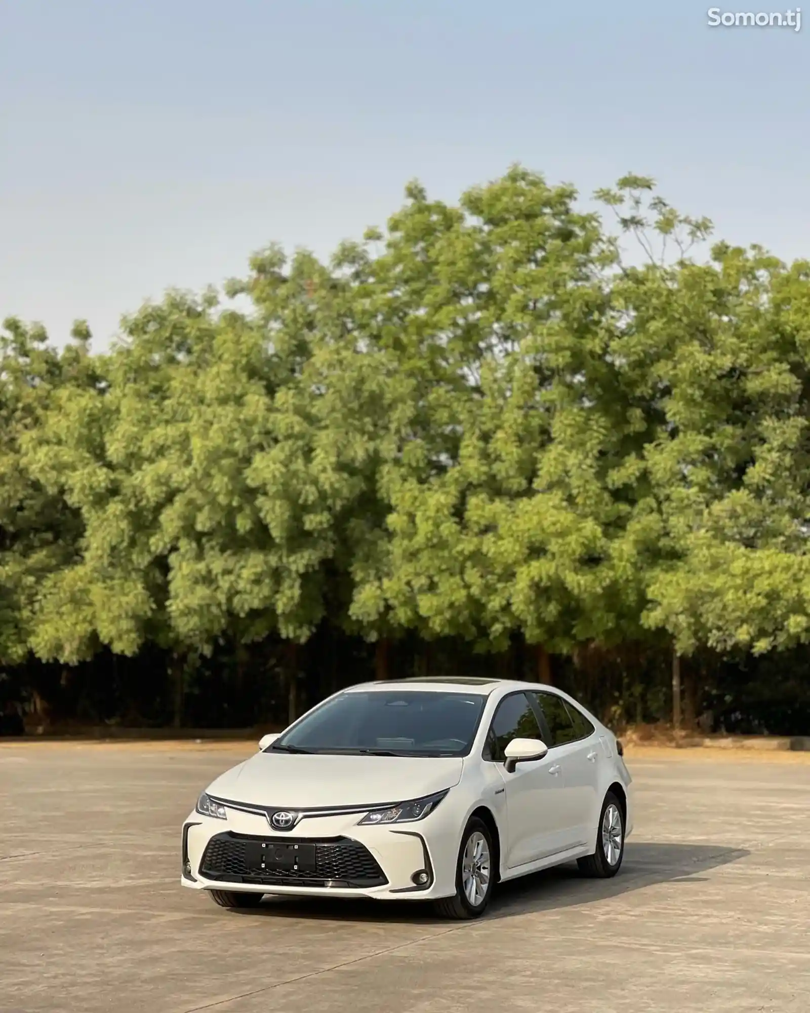 Toyota Corolla, 2024-2