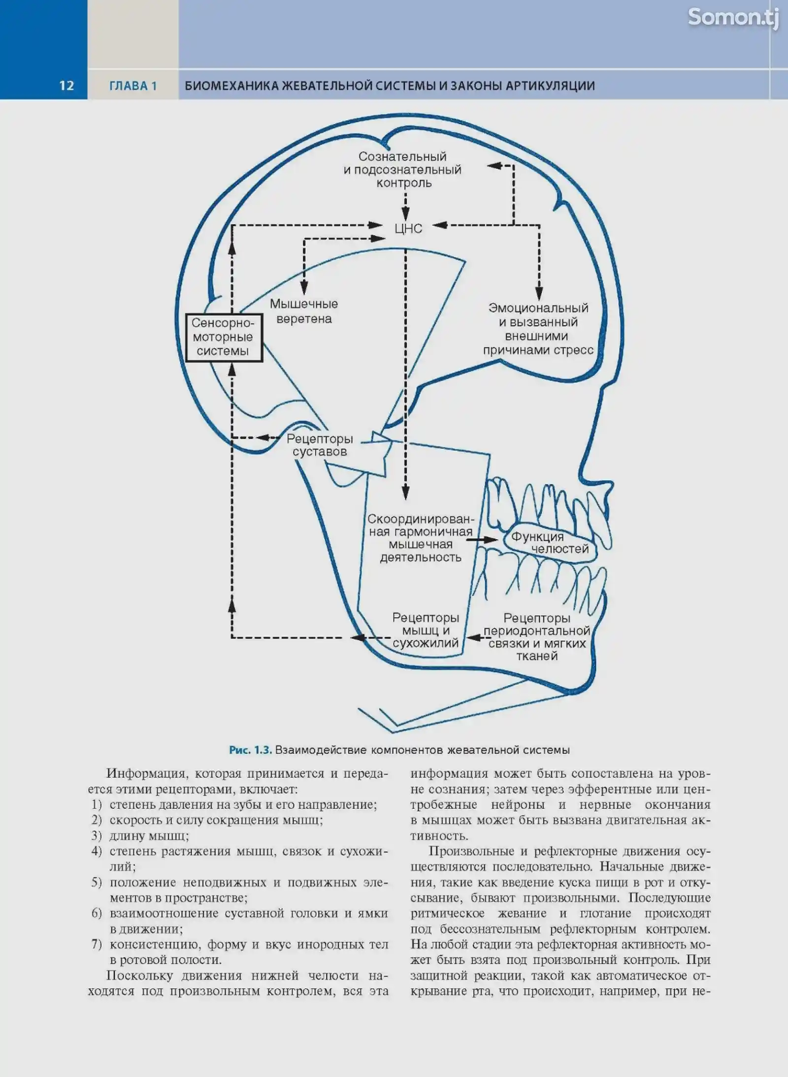 Учебник Ортопедическая стоматология-6