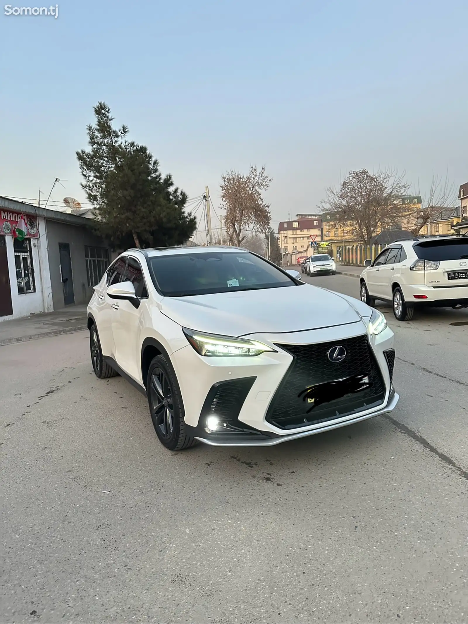 Lexus NX series, 2023-1