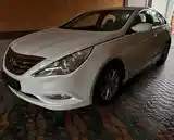 Hyundai Sonata, 2010-3